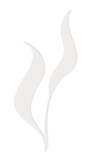 Woven Farewell icon watermark