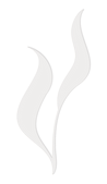 Woven Farewell Logo Icon representing willow leaves