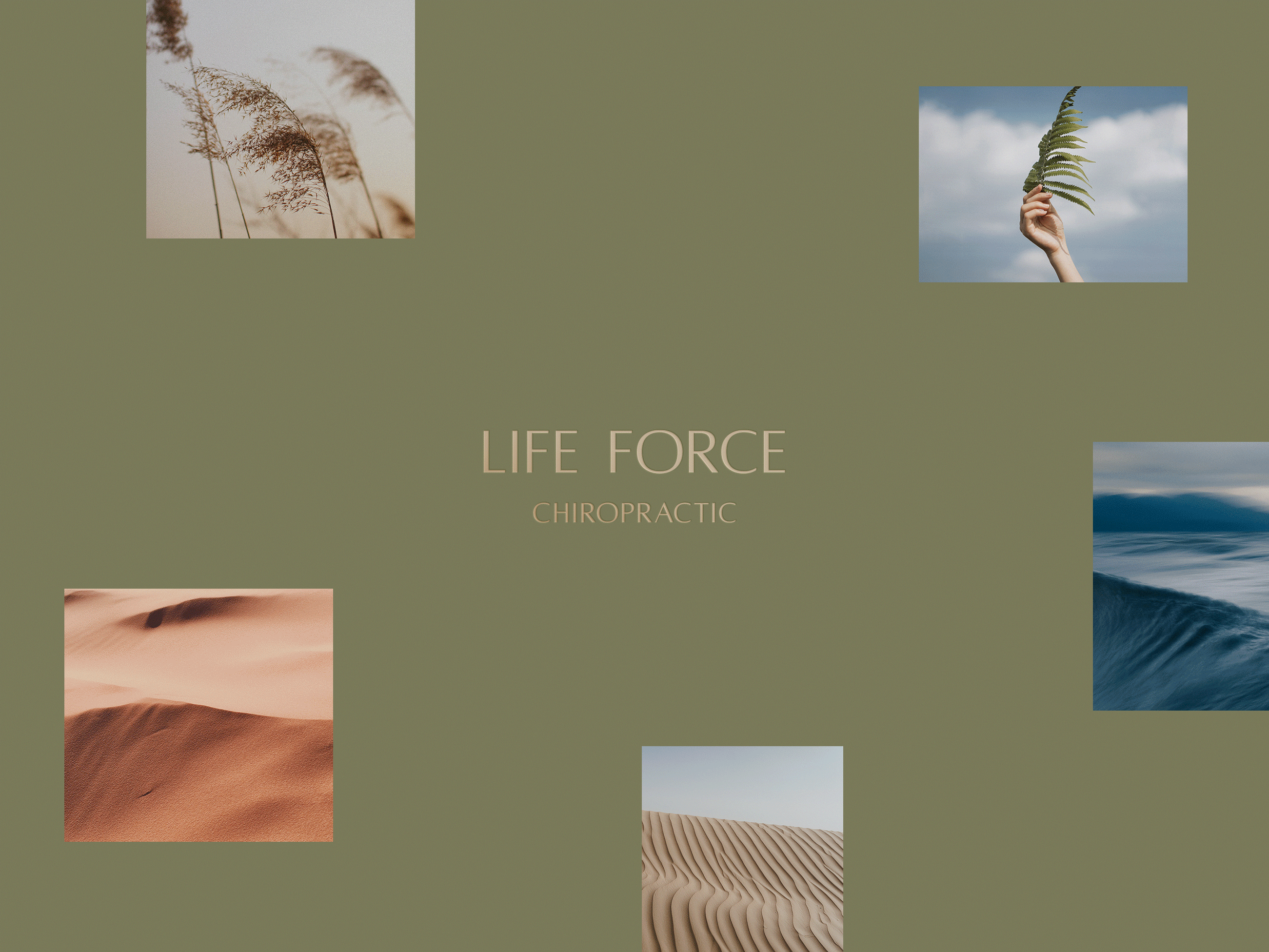 Maximizing your brand's impact with curated imagery