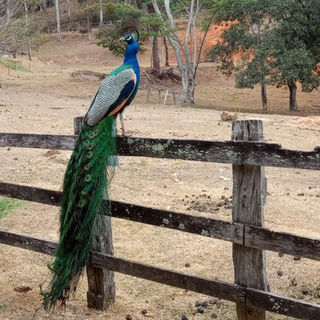 WhatsApp Image 2022-09-14 at 20.08_edited.jpg