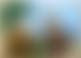 Howdy Pah-da-na…Birdy Num num!