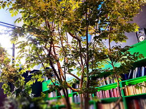 TIARA IN ROSE 空間デザイン