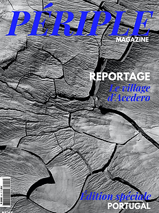 Magazine.png