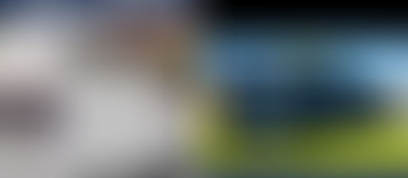 Wessex Called Out To Here, There And Everywhere