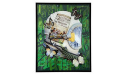 Southern belle to Brighton Vonbern