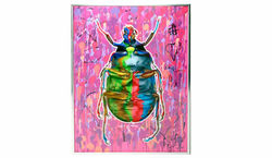 Dominic Vonbern A bad day for a bug