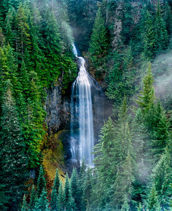 WATER_misty ranier falls.jpg