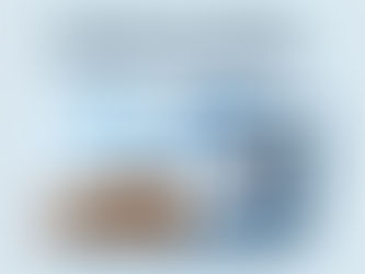 How Online Chat Support Converts Vehicle Sales Inquiries into Test Drives