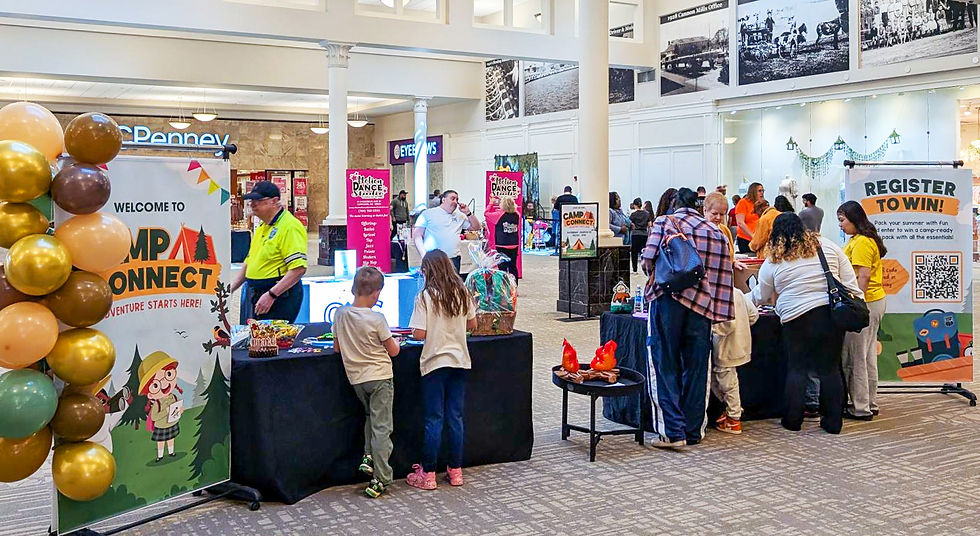 CAMP CONNECT - CALL FOR ORGANIZATIONS