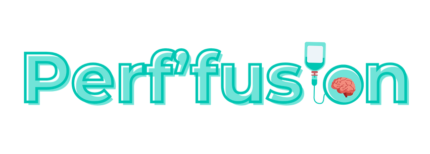 Logo_Perf'fusion_v0.2 (1).png