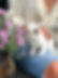 F9D074E3-04F7-4C07-83B1-65D6CED44C35.jpeg