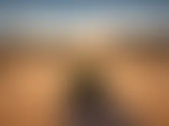 nevada