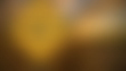 2020 Annual Meeting "Fresh Perspectives Ahead" - Certificate of Attendance