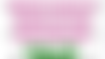 ACTION ALERT: Protect Access to Double Up Food Bucks and Snap