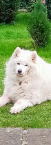 IMG_20200313_165350_edited.jpg