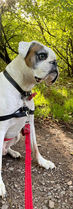 IMG-20221007-WA0002_edited.jpg
