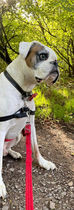 IMG-20221007-WA0002_edited.jpg