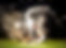 HSW832_edited.jpg
