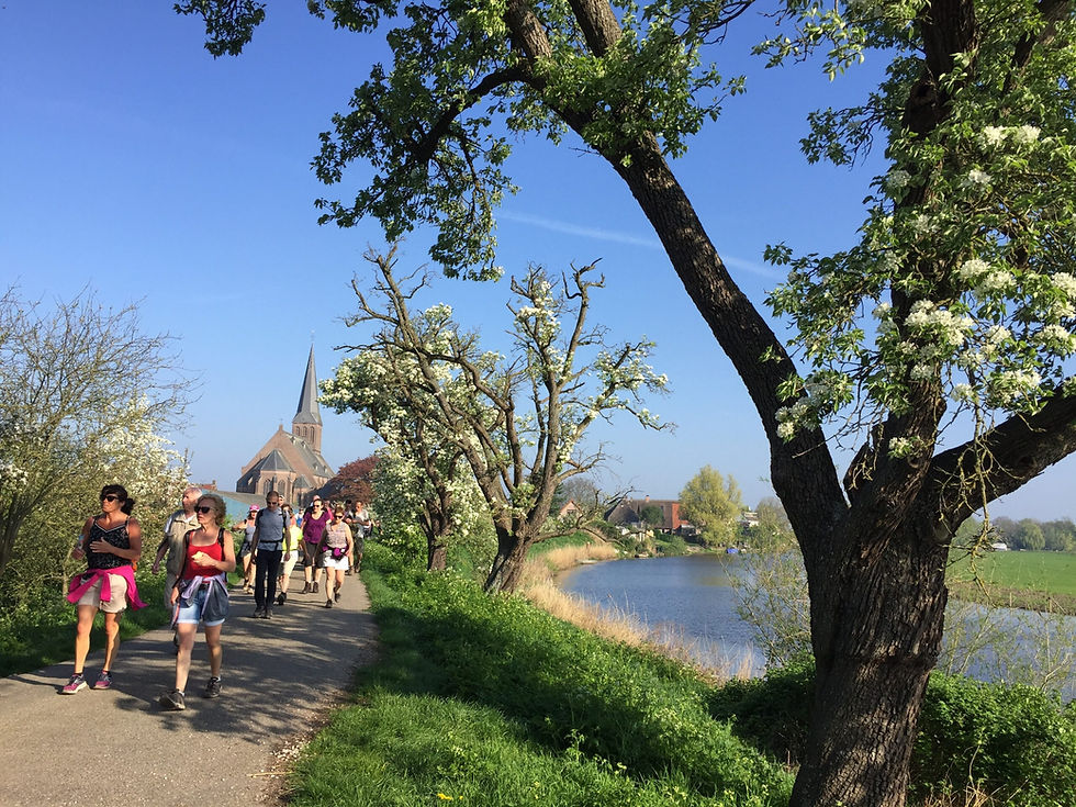 Help bijen in de Betuwe