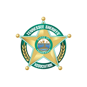 Untitled design (50).png