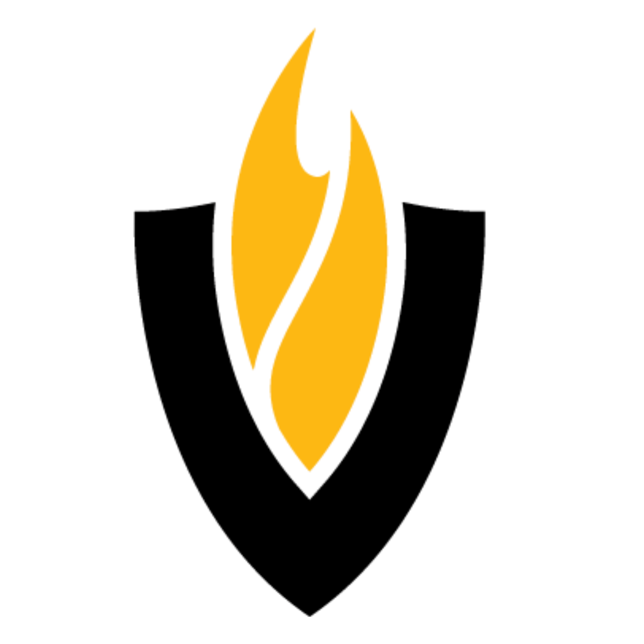 Writer: Virtual Academy