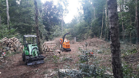 Snoeien en vellen van bomen