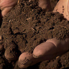 Gehalte aan organische stoffen