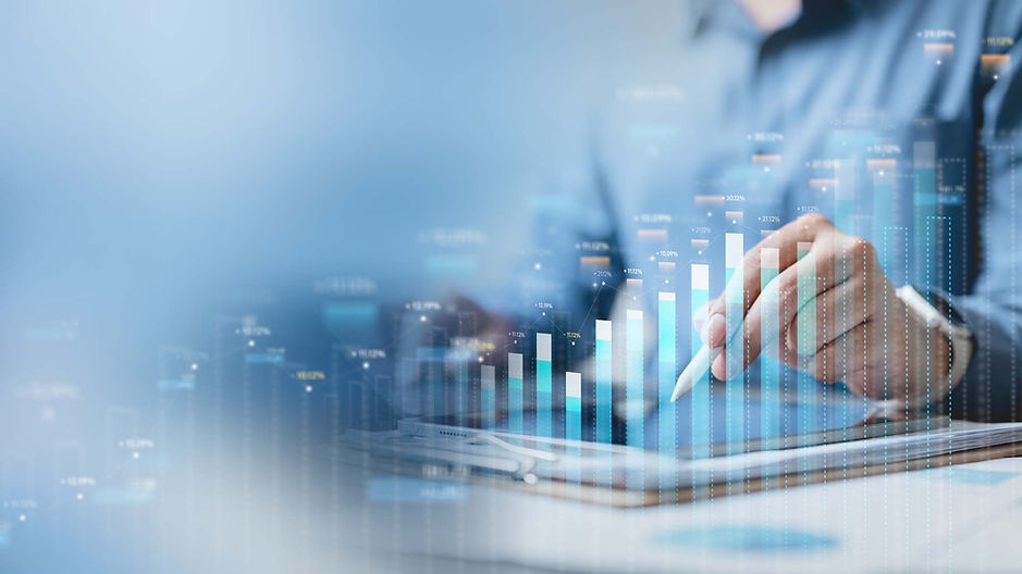 analyse d'un rapport financier budget