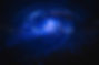 CW9A8155.jpg