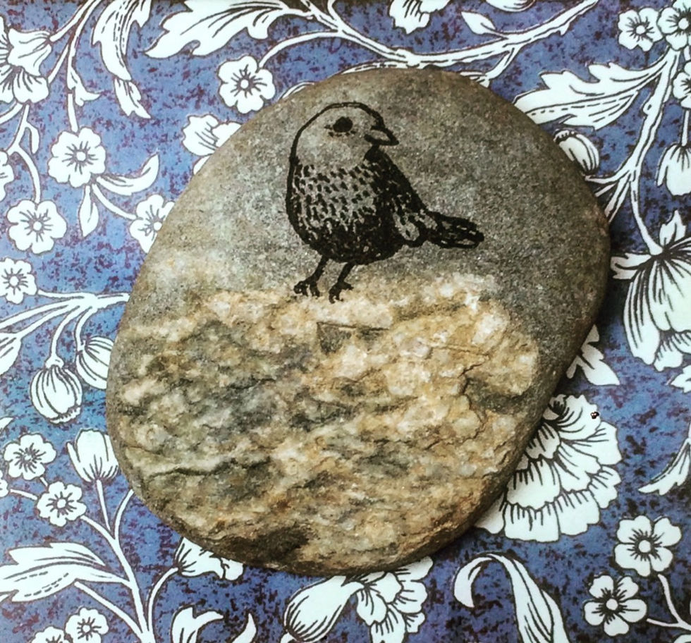 Bird Pebble