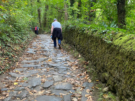 La Passerelle de Mazamet