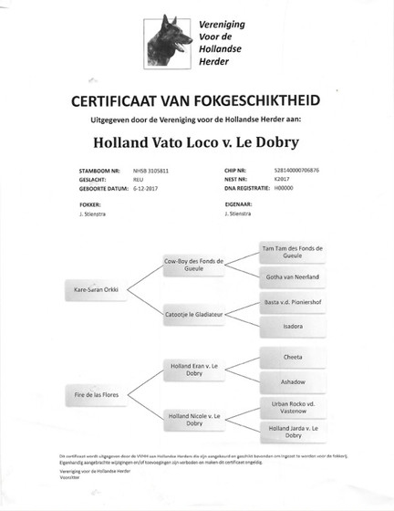 Vato Loco Pedigree information