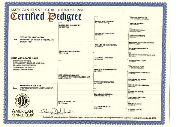 Scan.jpeg