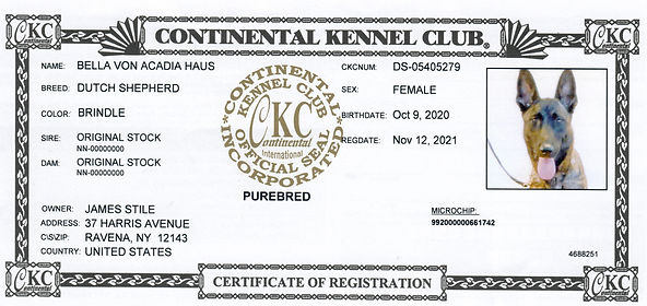 Scan 1.jpeg