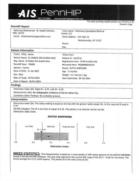 Diablo Registration Certificate