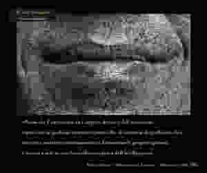 Italo Calvino - Sono nato in America - citazione - ironia - umorismo - intelligenza - Il Tuo Biografo - Nina Ferrari