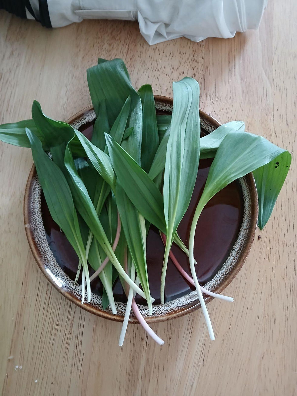 Wild Foraged Ramp Leaves