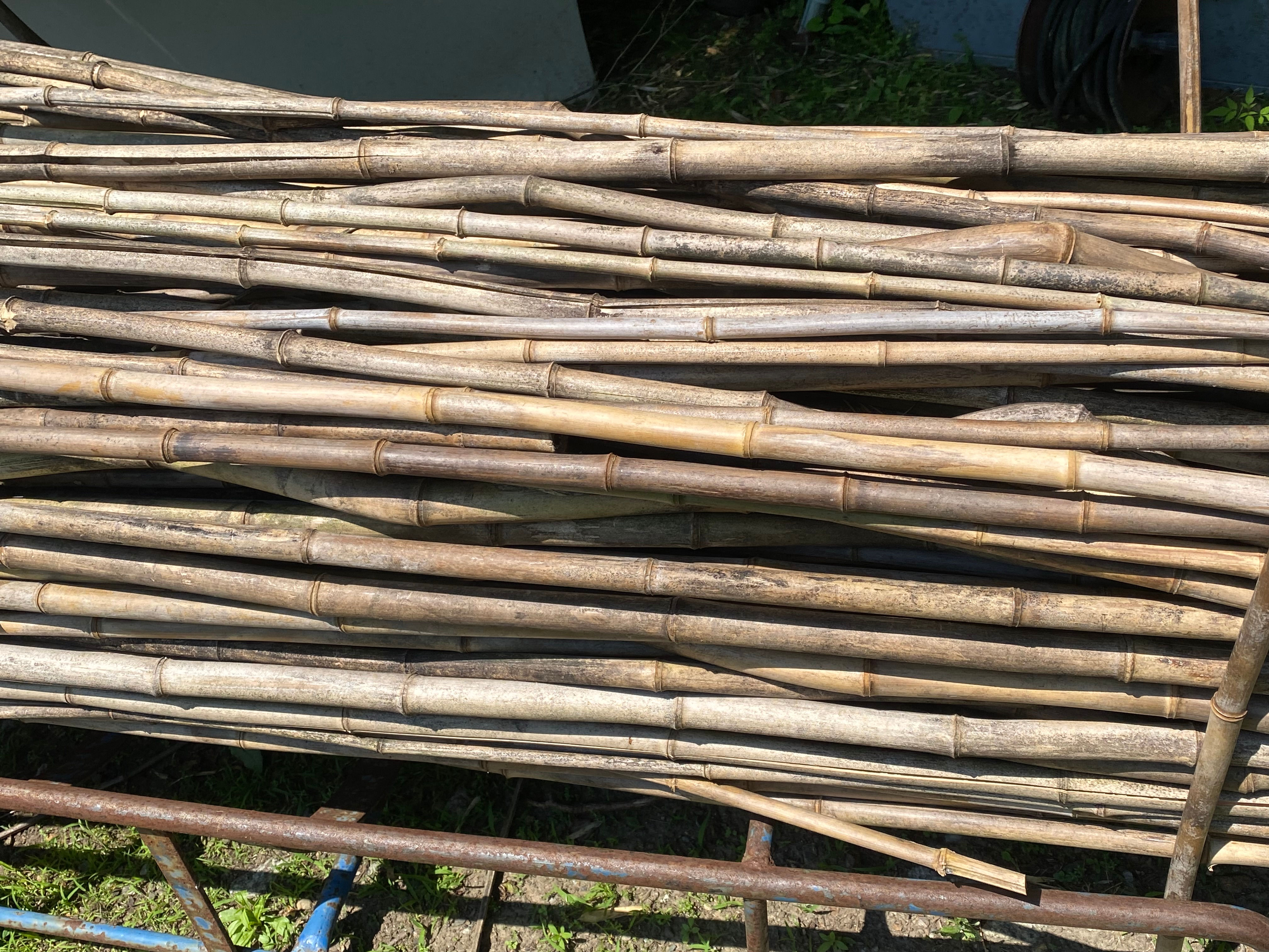 Dry Bamboo Cane (Sm)