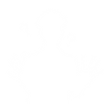 sensei-1.png