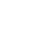 シルエット.png