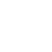 Vector-4.png