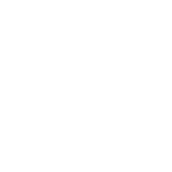 Vector-2.png