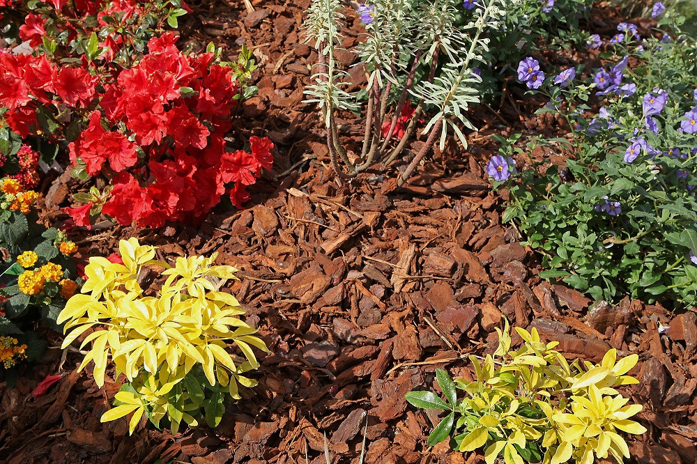<img src="Gulf Breeze Landscaping.png" alt="beautiful landscaped flower bed in Gulf Breeze">