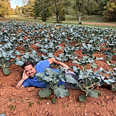The Moon Farm
