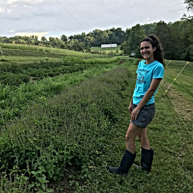 Little Muskingum Kettle Farm
