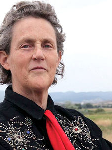 The Grandin Effect: An Interview with Dr. Temple Grandin