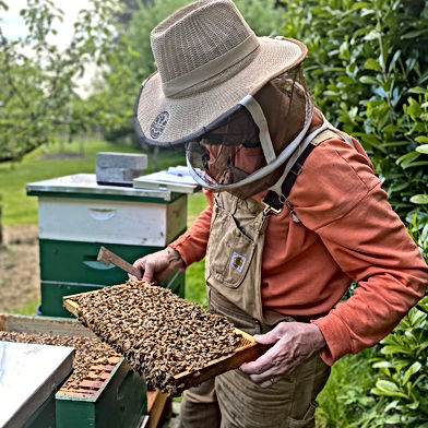Woodland Creek Honey Farm