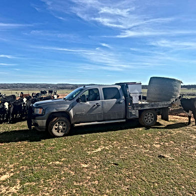 Beaty Cattle Company