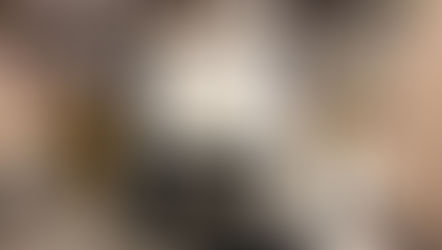 Ironwood 2 Head Widebelt Sander - Belgrade, Montana