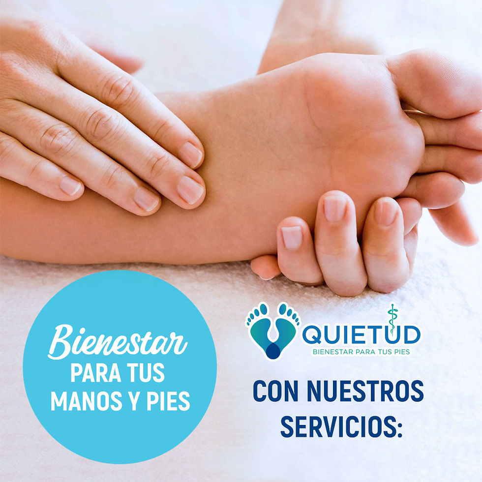 Conoce nuestros servicios